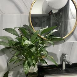 -汐月Health纤体spa中心