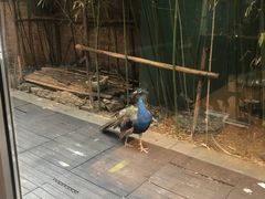 -春记潮汕牛肉火锅