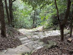 -杭州半山国家森林公园