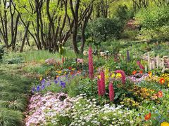 -上海共青森林公园