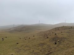 -日月山景区