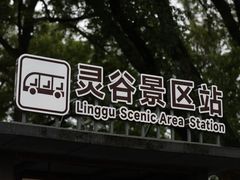 -灵谷景区