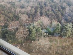 -南阳建业森林半岛假日酒店