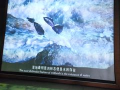 -中国湿地博物馆