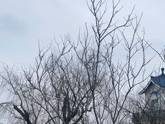 -大小河街