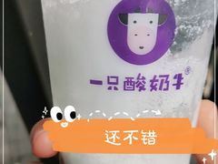 -一只酸奶牛(八一路店)