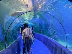 -左海海底世界