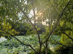 -无锡蠡湖国家湿地公园-蠡园