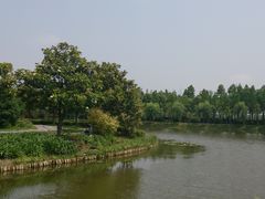 -上海鲜花港