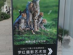 -罗红摄影艺术馆