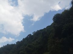 -水墨汀溪风景区