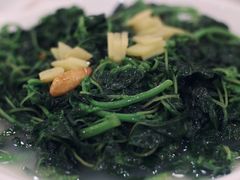 上汤马齿苋-寻味顺德·南记酒家·传统顺德菜·鱼生(广源路店)