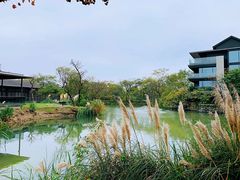 -木守西溪溪隐餐厅