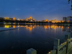 -莲花池公园