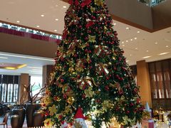 -三亚湾红树林度假世界(木棉酒店)