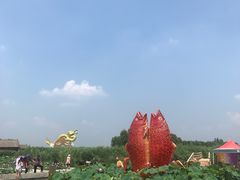 -白洋淀景区