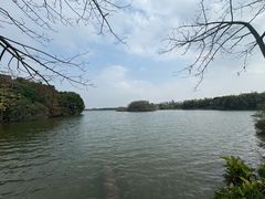 -海珠湖公园