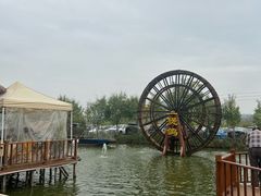 -一煲鸽