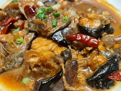 红烧安康鱼-健眺小海鲜(临海后山店)