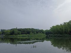 -大兴滨河森林公园