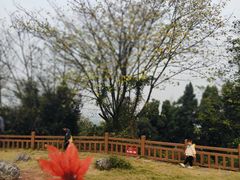 -成都老君山