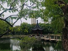 -和平公园