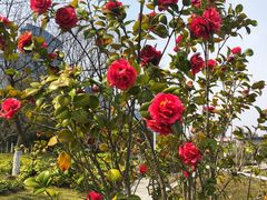 -白塘生态植物园