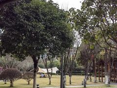 -漓咖啡西餐厅 · 桂林香格里拉