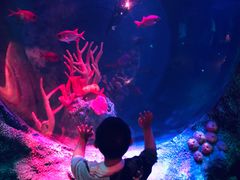 -沈阳海洋探索中心