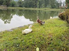 -Club Med地中海俱乐部·桂林度假村