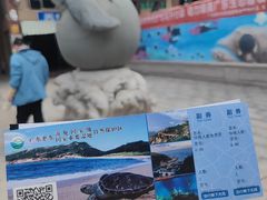 -广东惠东海龟国家级自然保护区