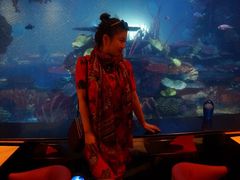 -迪拜帆船酒店海底餐厅