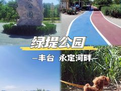 -绿堤公园