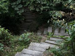 -阳台山森林公园