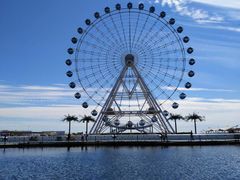 -秦皇岛乐岛海洋王国