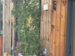 -小茶闲舍·观景商务茶馆(广州塔店)