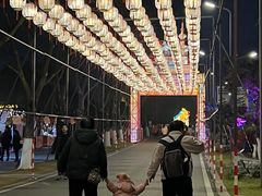 -武汉园博园(武汉自然博物馆)