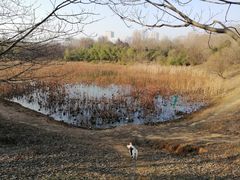 -大蜀山国家森林公园