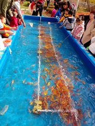 -萌宠亲子动物乐园(槐房万达店)