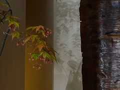 -见山茶事(丽水路店)