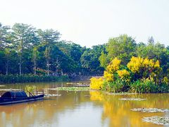 -大湾区中央湿地公园
