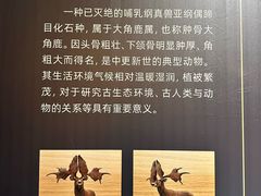 -北京周口店北京人遗址博物馆