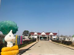 -上海都市菜园