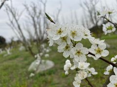 -洪湖家庭农场·团建·露营·会议