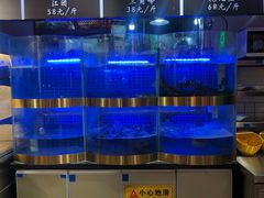 水产区-蛙一刀·麻椒鱼火锅(金仙桥店)