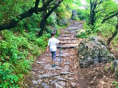 -阳台山自然风景区