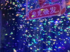 -宁波海洋世界-售票处