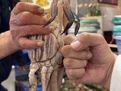 -小铜锣湾海鲜家常菜馆(河西店)