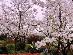 -兰溪青年公园