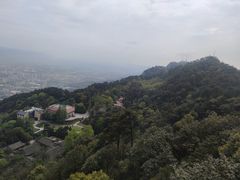 -缙云山景区